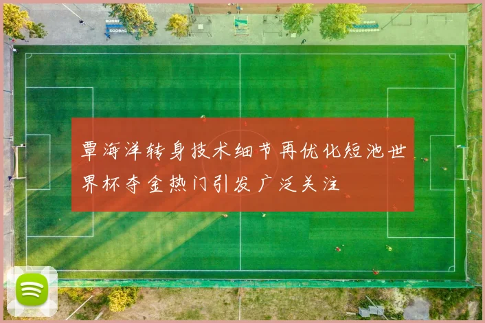 覃海洋转身技术细节再优化短池世界杯夺金热门引发广泛关注